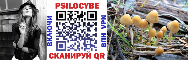 Галлюциногенные грибы MAGIC MUSHROOMS  это какой сайт  Карталы  где купить наркотик 