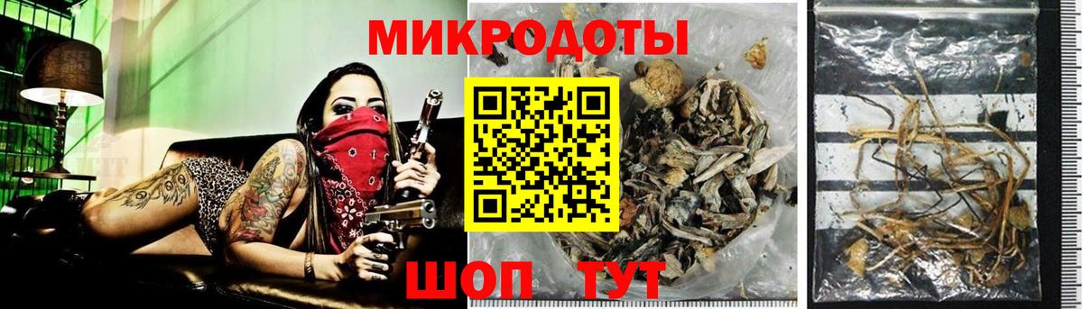 закладки  Вход с VPN  Карталы  Псилоцибиновые грибы MAGIC MUSHROOMS 